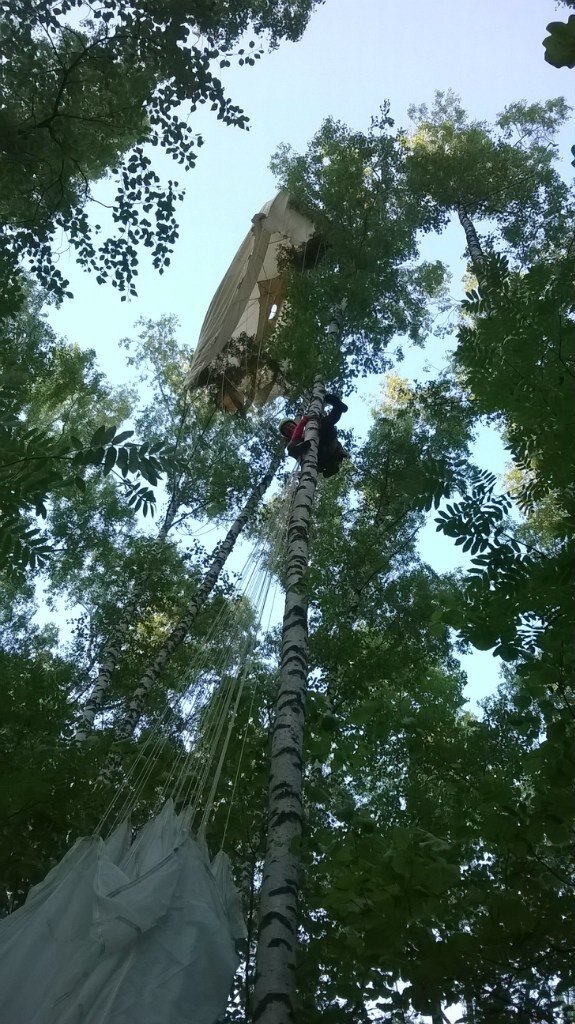 Снимок Дмитрия Ежова, который отважно снимал меня с дерева