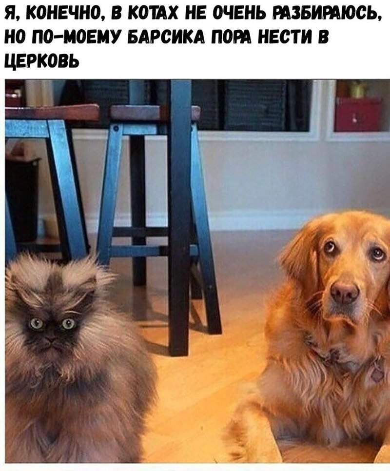 Взято из интернета