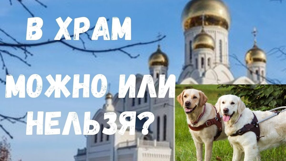 Взято из интернета