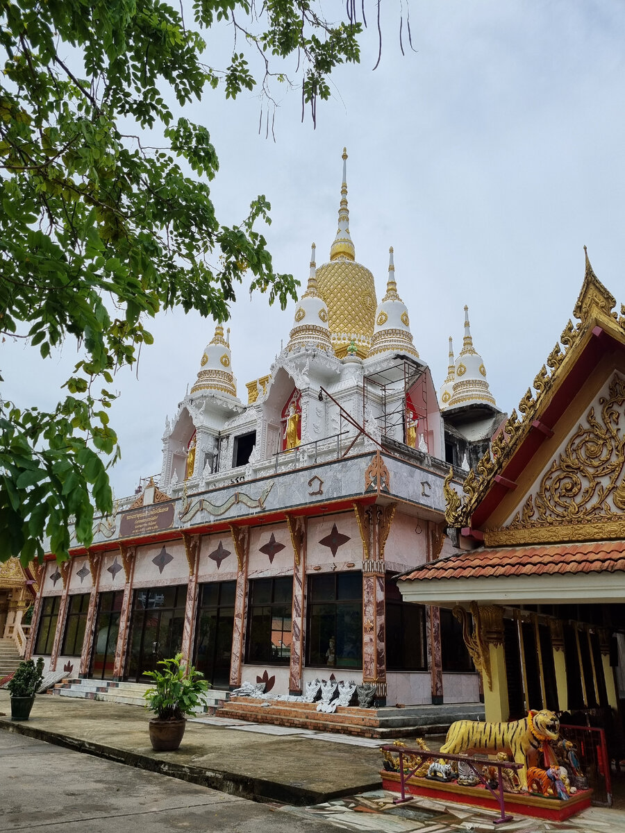 Фото автора статьи