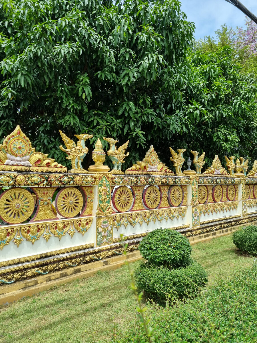 Фото автора статьи