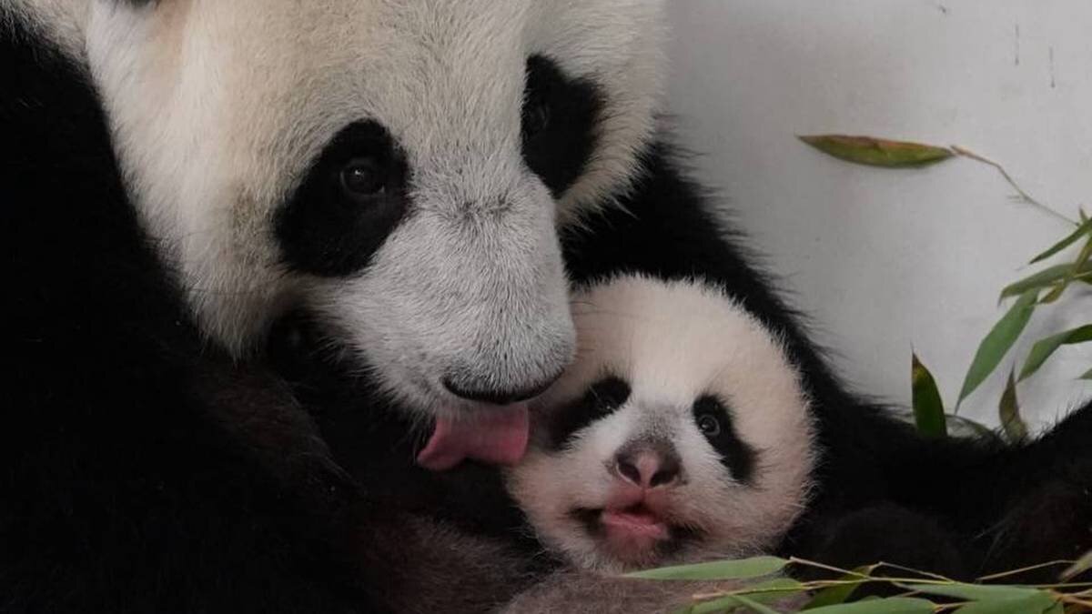    Фото: Telegram / Светлана Акулова