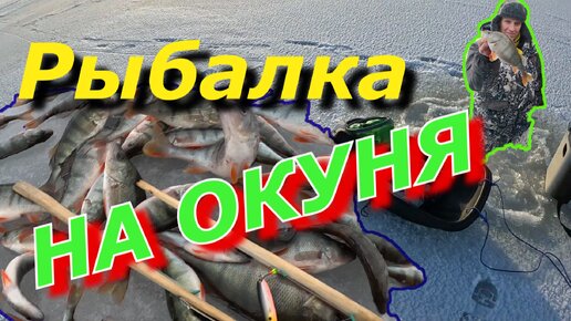 Ловля окуня на Псковском озере!!!!