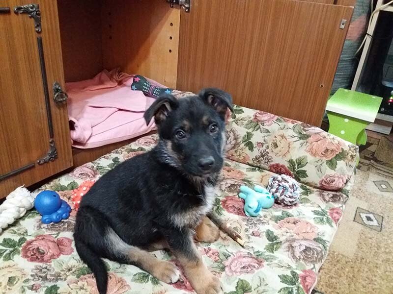 Фото автора