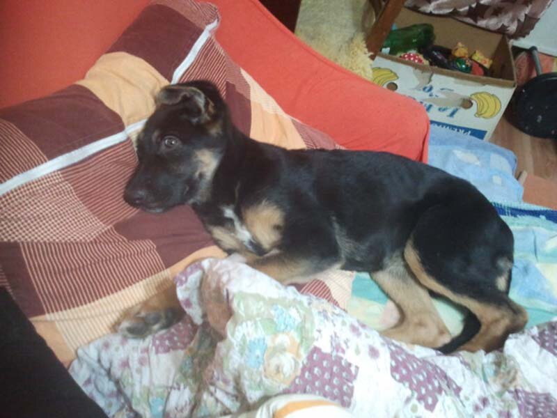 Фото автора