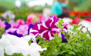    Фото: freepik.com/pch-vector Анна Полякова