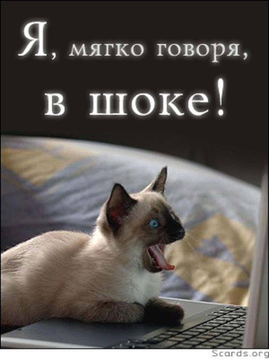 Картинка с просторов интернета. 