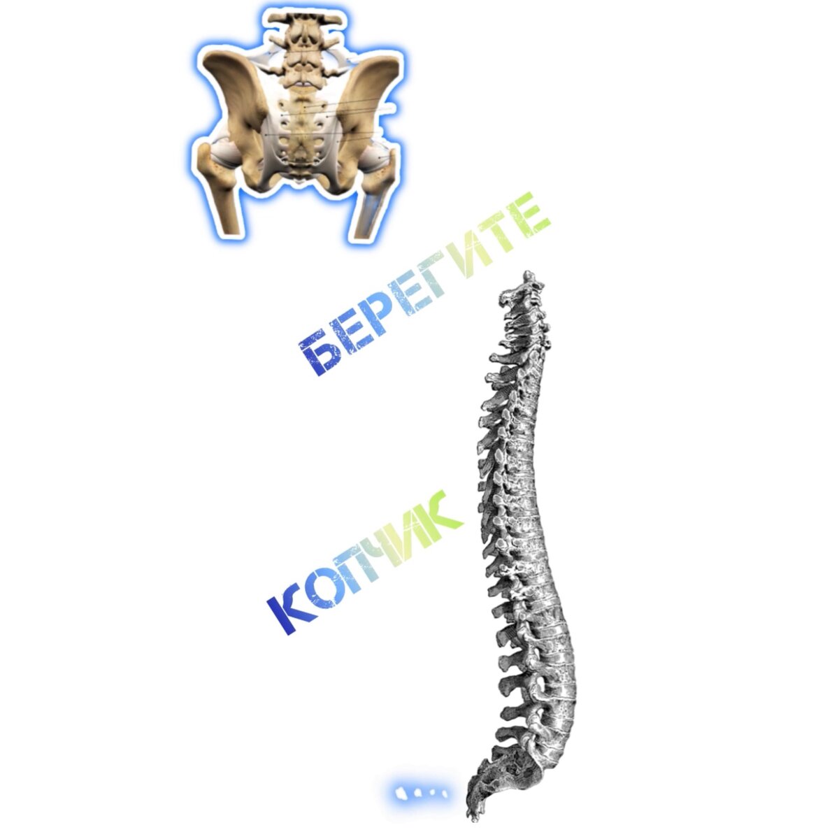 Blog | Кокцигодиния (анокопчиковый болевой синдром)