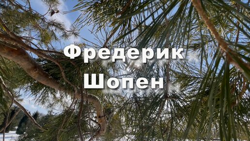 Фредерик Шопен. Вальс опус 64 № 2 Музыка для души