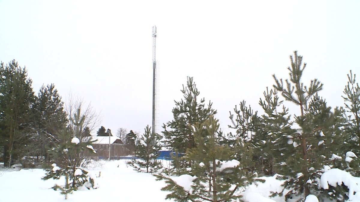     В регионе устраняют цифровое неравенство