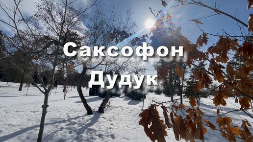 Саксофон, Дудук, чарующая музыка. Музыка для души