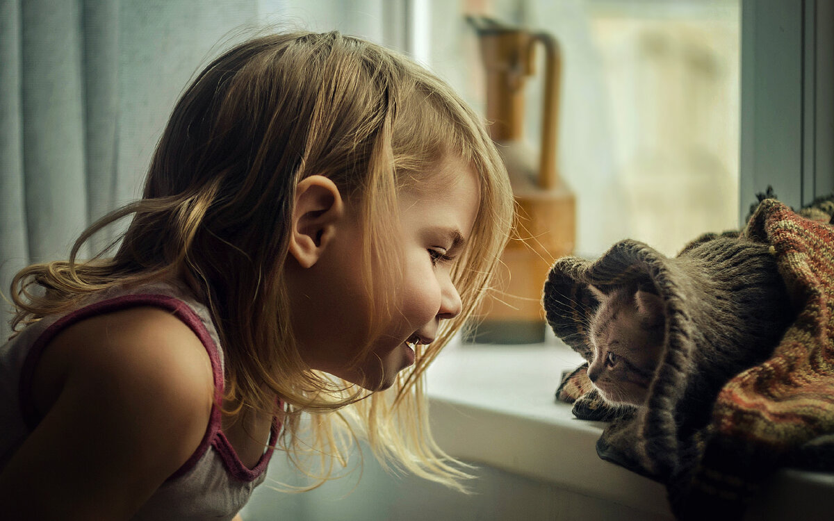 Фото из свободного доступа сети Интернет