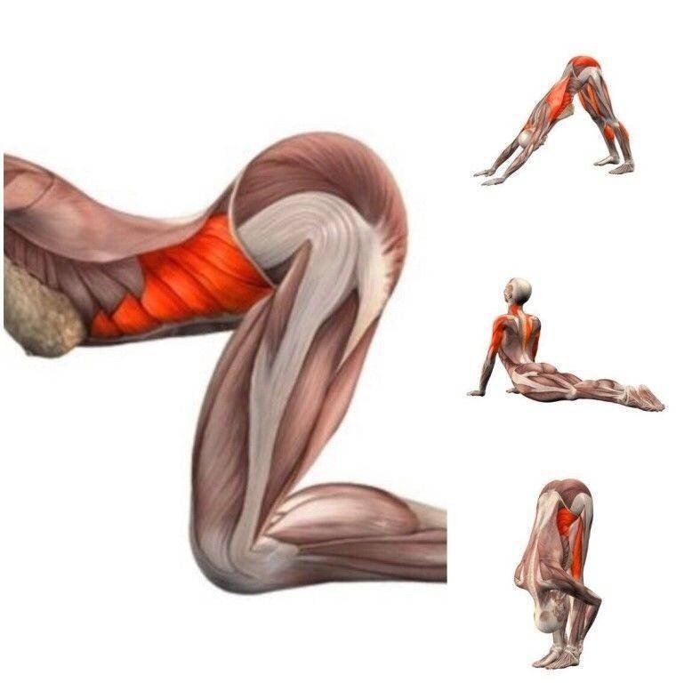 Тренировка части тела