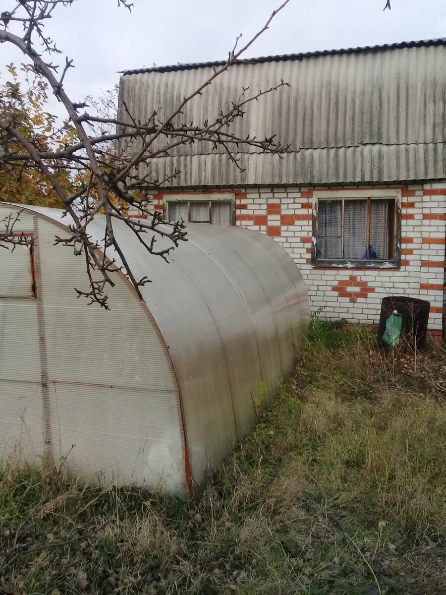 Наша ДАЧА...