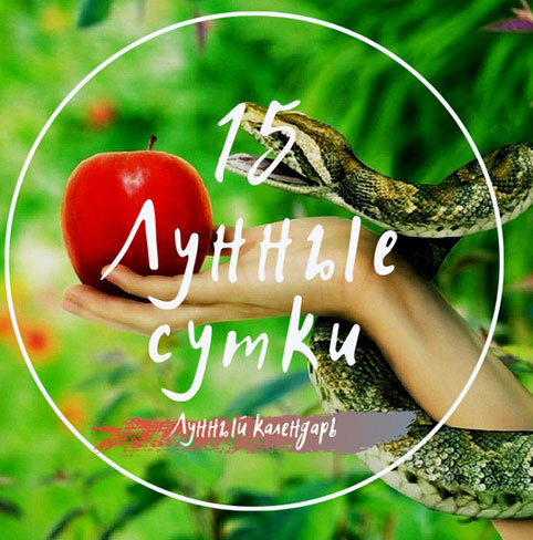 Лунный календарь, астрологический прогноз и рекомендации на 23.02.2024 года от астролога Елены Луженецкой