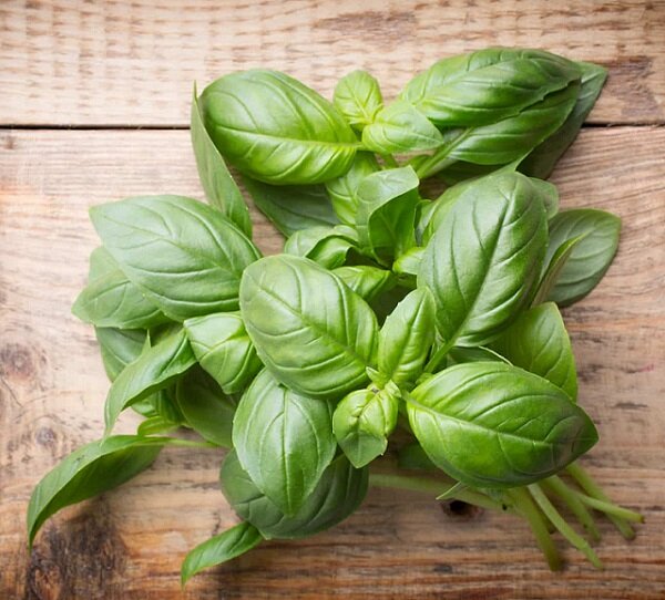 фото из открытого источника