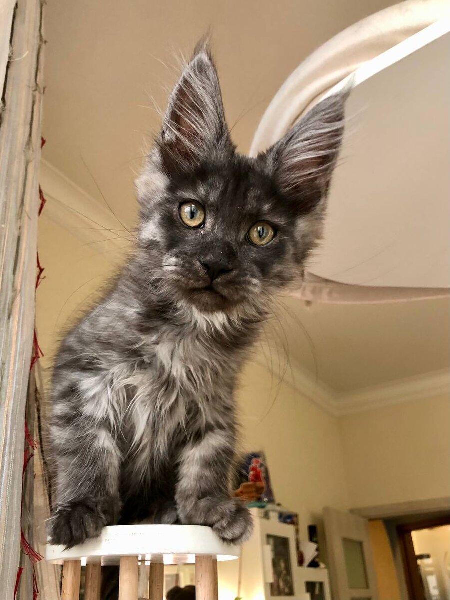 Фото из личного архива.