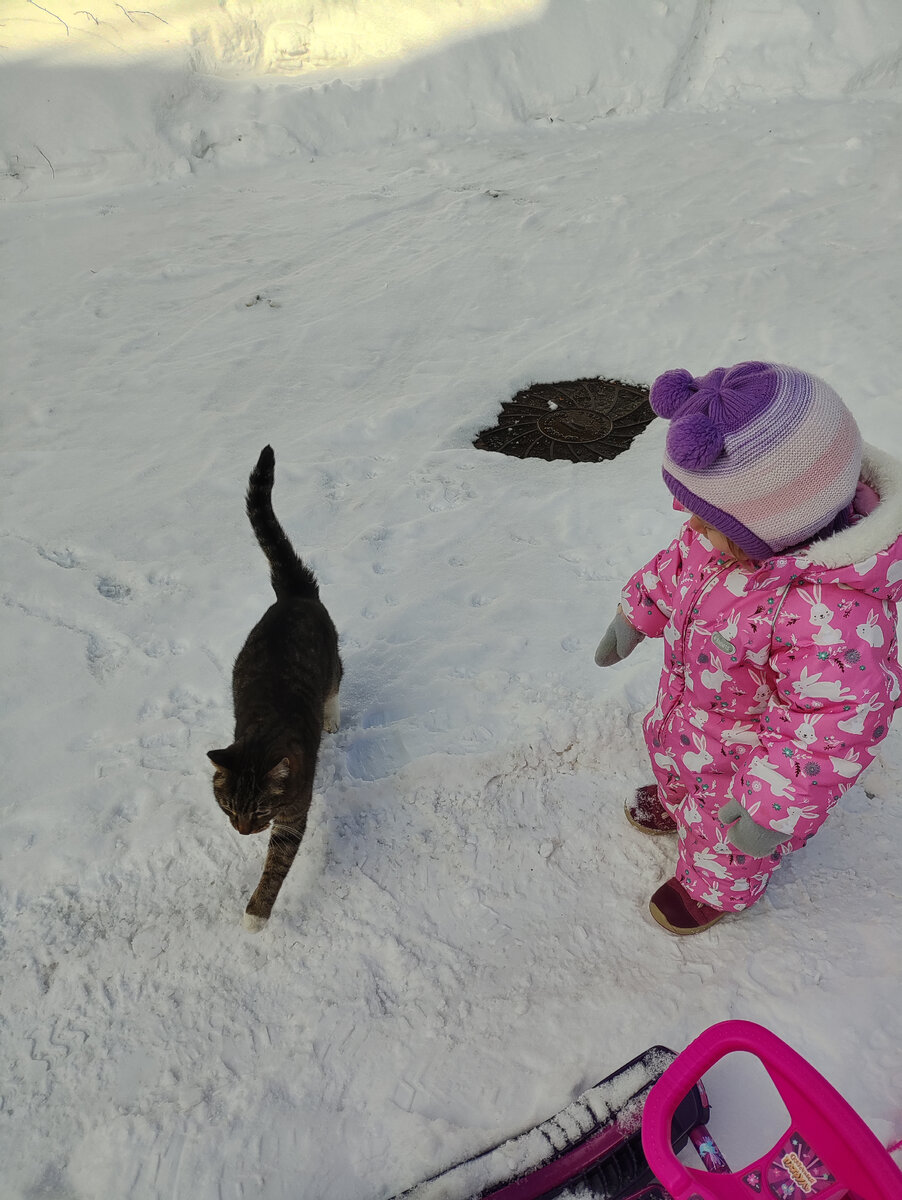 Еле словила его в кадр телефона