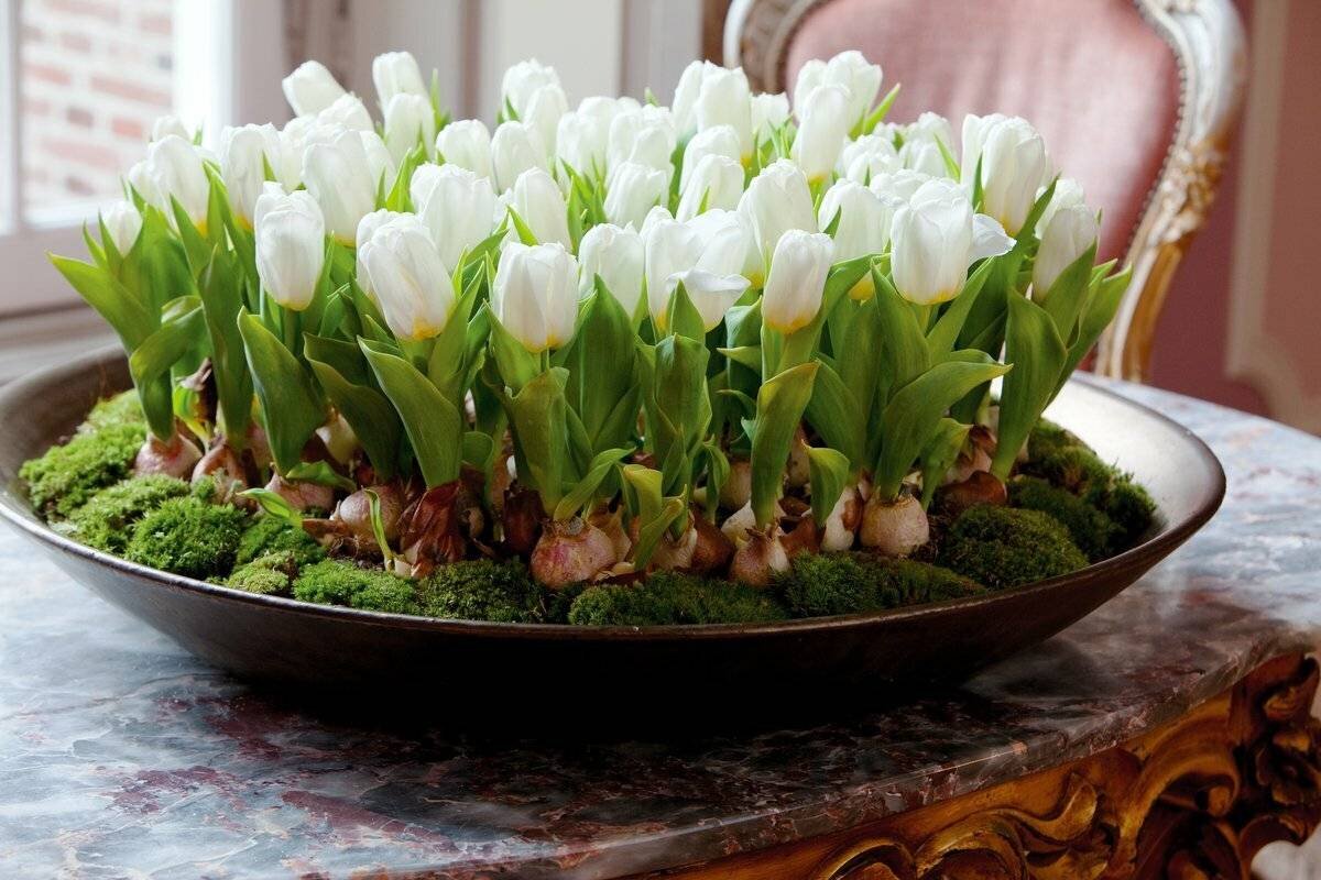 Просто картинка:)