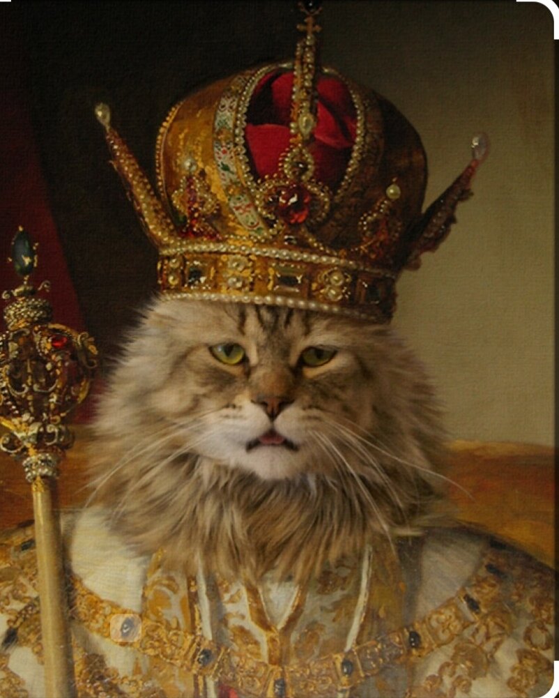 Кот Василий 👑 царь 