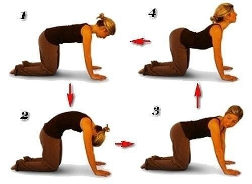 много поз в одной картинке. положение для сна. позы в психологии тест. интересные позы для занятий любви. названия самых популярных поз.