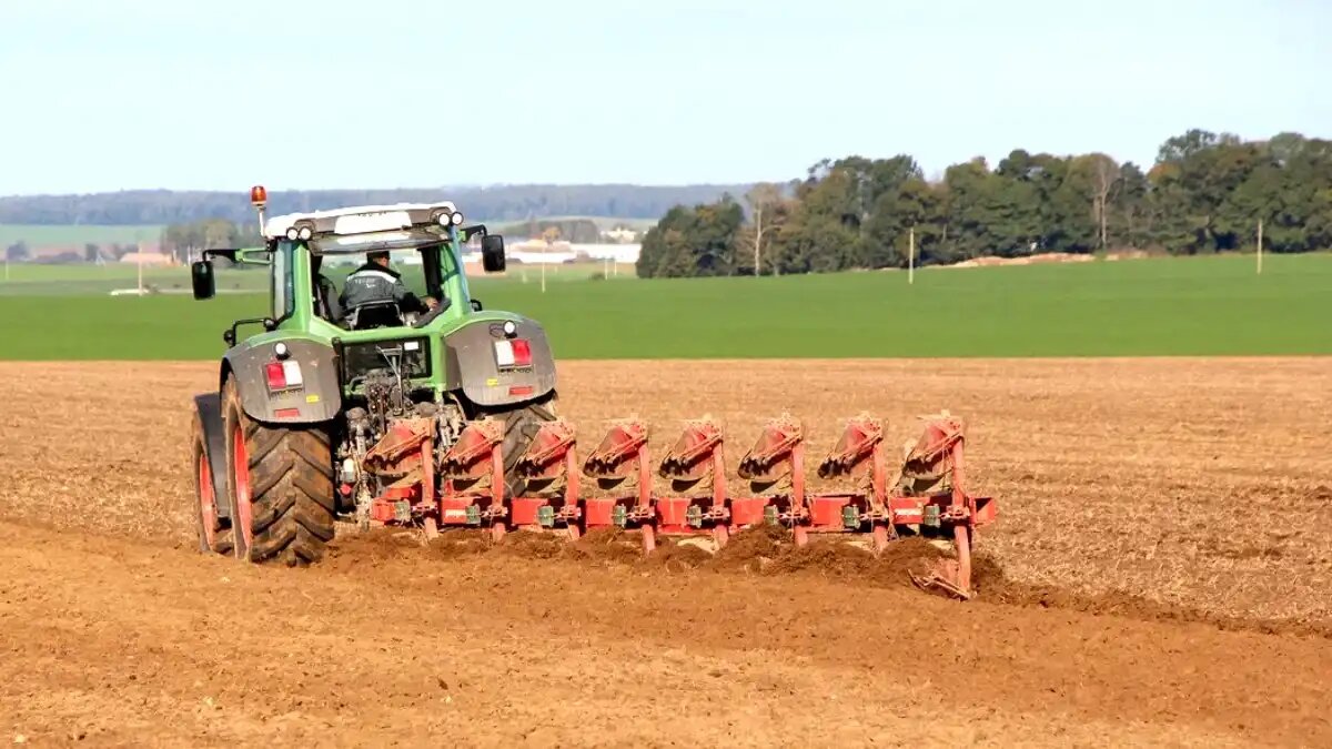 Фото: © Владимир Исаенко / Glavpahar.ru Фотография носит иллюстративный характер