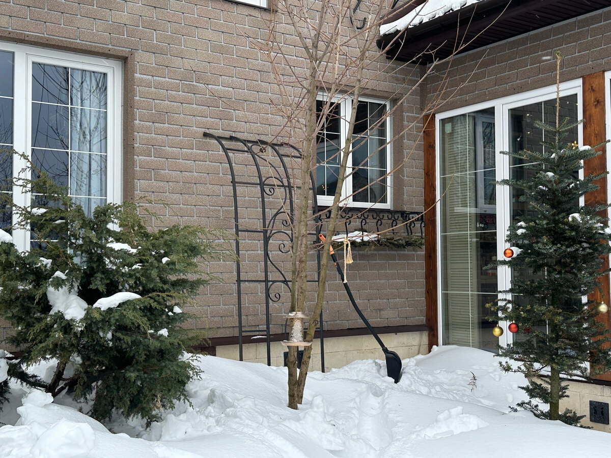 Фото в саду автора