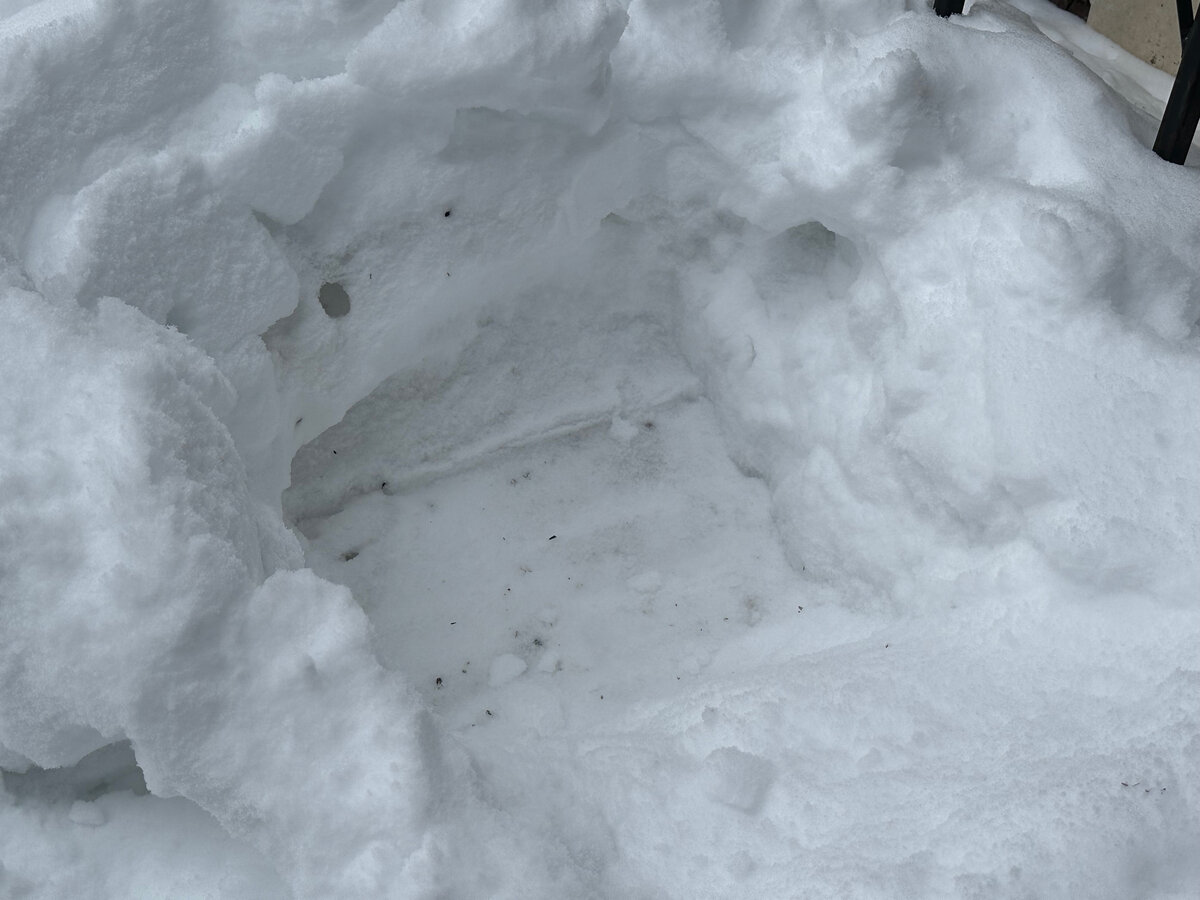 Фото в саду автора.