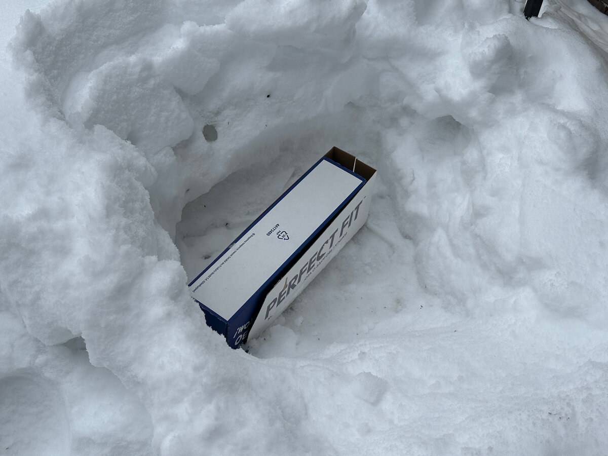 Фото в саду автора.