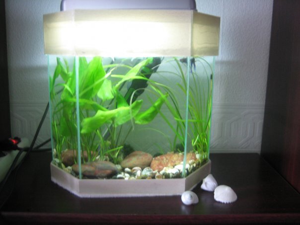 Прошу прощения за нечеткое, размытое фото, но это единственное свидетельство того времени и дара.