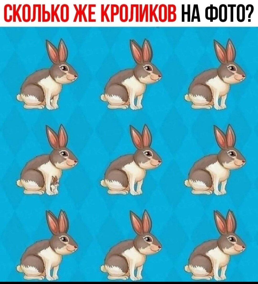 Сколько же кроликов 🐇 на фото ? #тест #логика #новости #математика #умный # умница | БЕЗДЕЛЬНИК 😎 | Дзен