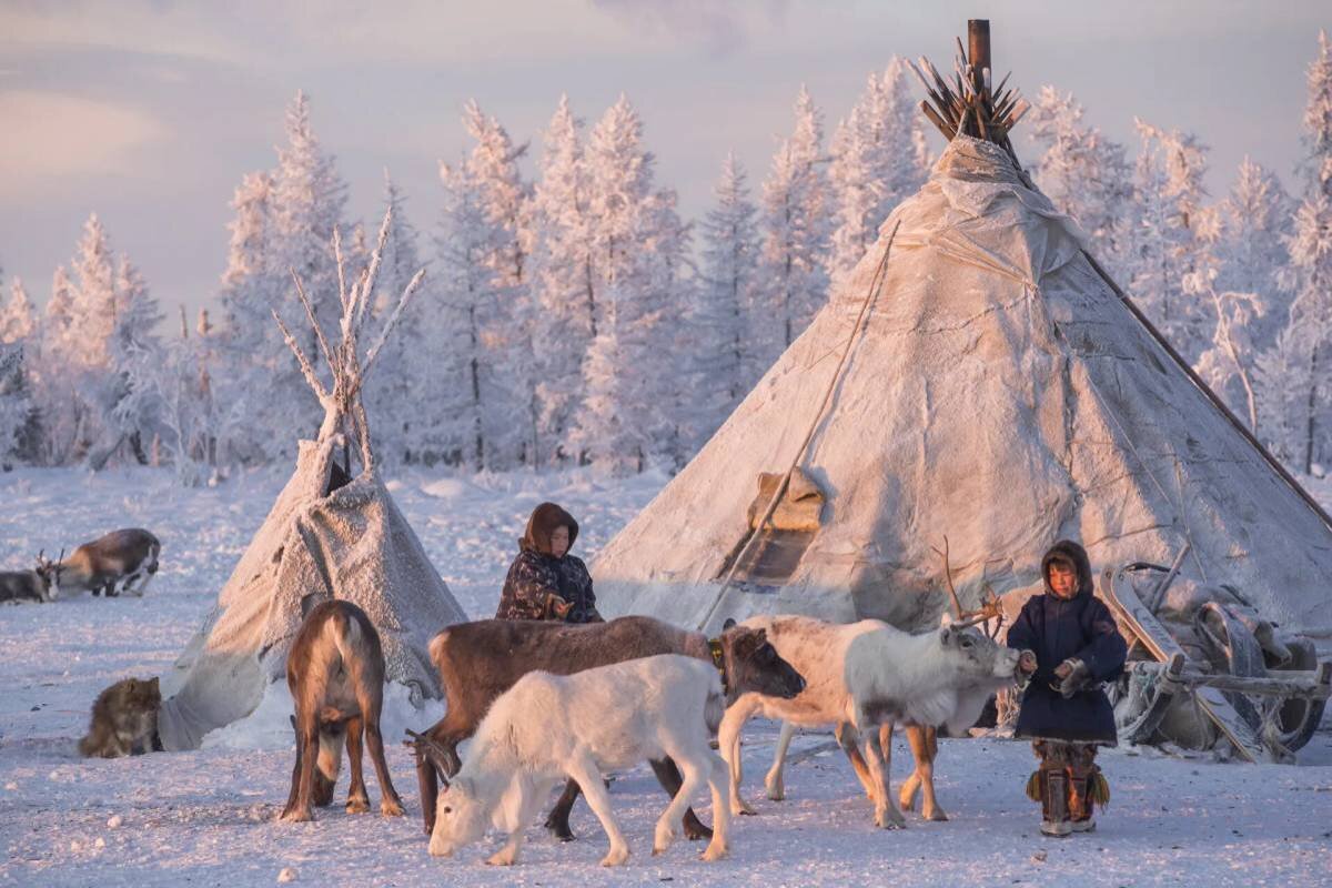 Яндекс Картинки