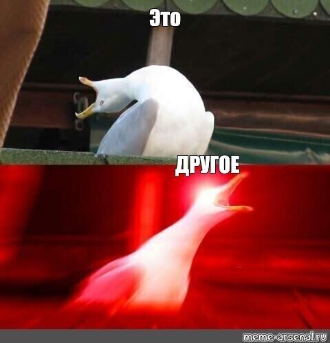 из интернета