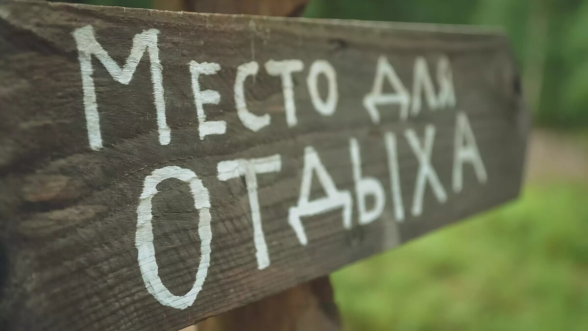     Бизнесмен занял чужую землю на острове Русский. Мужчина незаконно воздвиг внушительные постройки на данном участке.