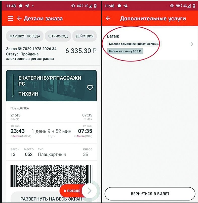 Последний документ кота Твикс. Фото: kpmedia.ru 