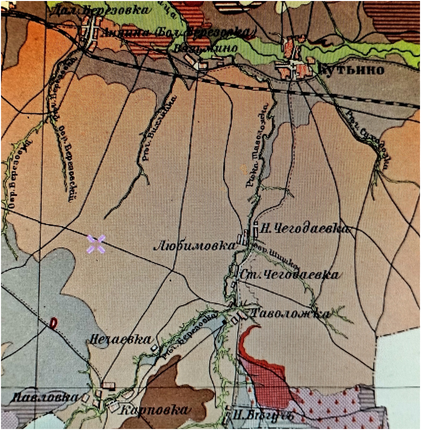 отношение стран к лгбт. как рождается книга. лимбическая система и неокортекс мозга. процент лгбт в мире. как рождается карта.