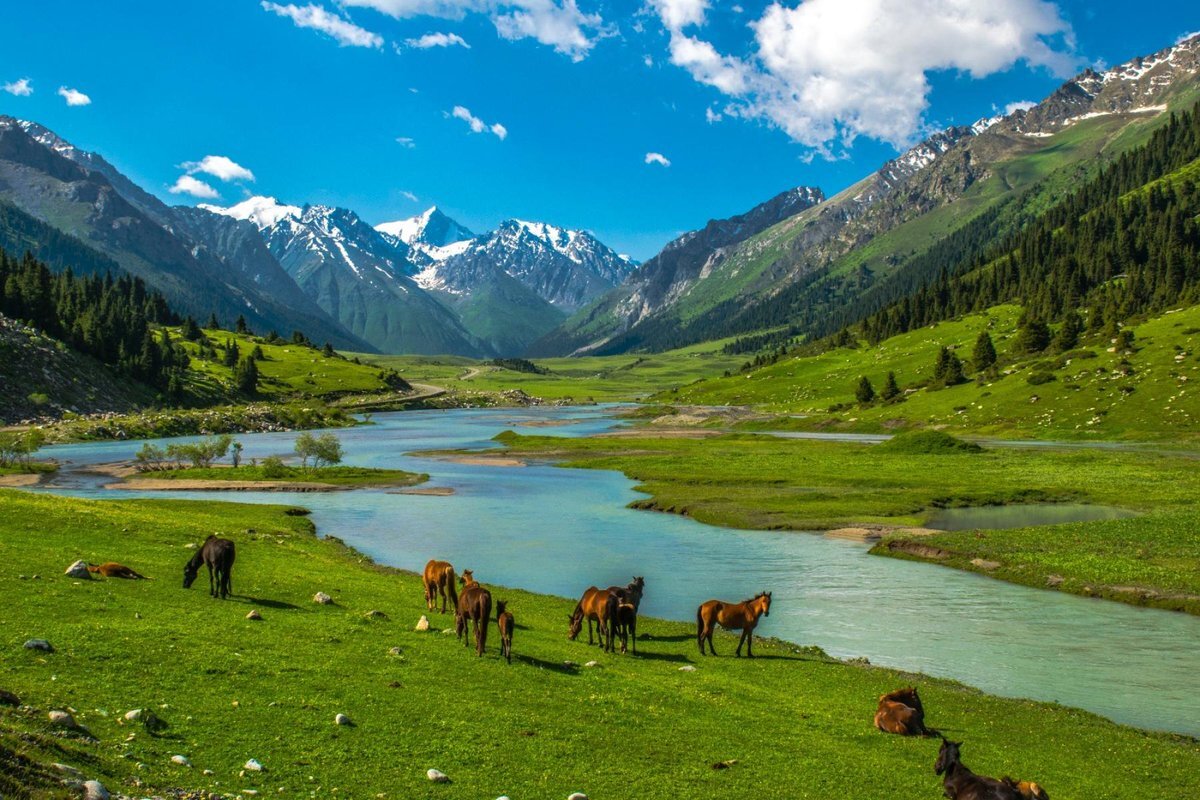  Кыргызстан, или Киргизия, представляет собой уникальный кусочек земли в Центральной Азии, который притягивает путешественников своими невероятными природными красотами и богатой культурой.-1-2
