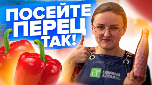 Если посеять ПЕРЕЦ ТАК - ВСЕ получится! СОВЕТЫ по посеву баклажана и перца от #семенаалтая