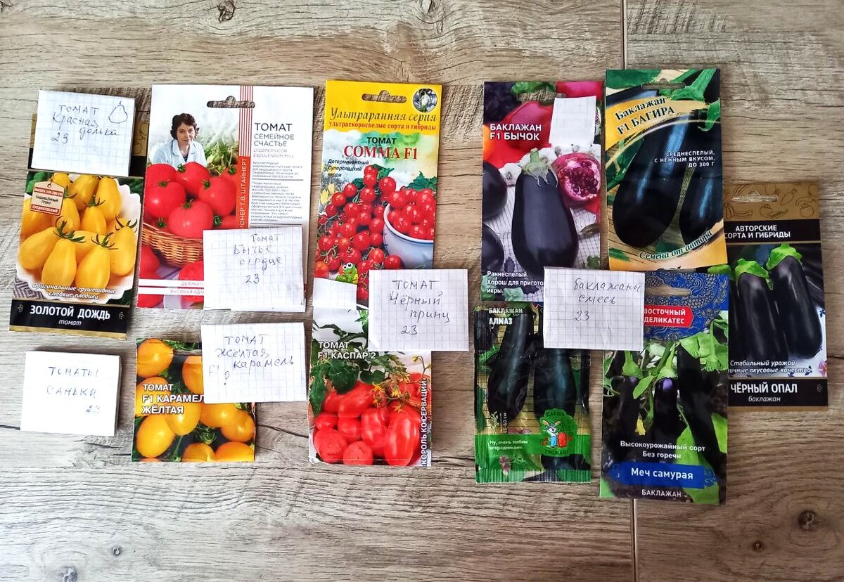 Сажаю в 2024 году