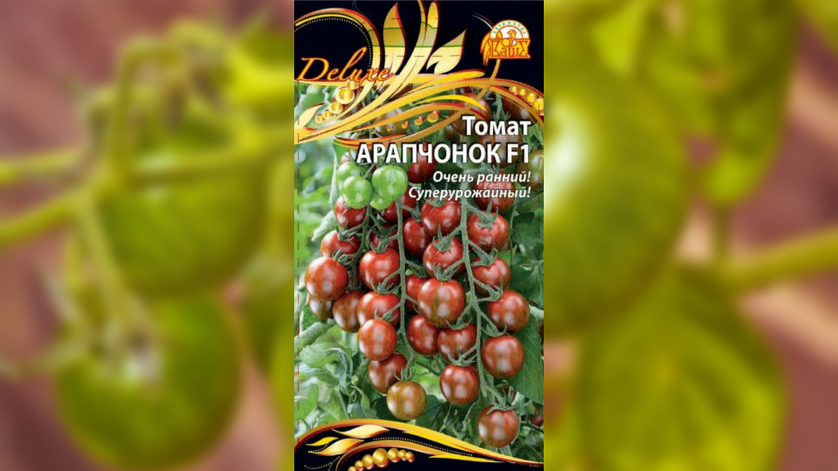 Томат Арапчонок F1. С момента появления первых ростков до плодоношения должно пройти примерно 85-92 дня