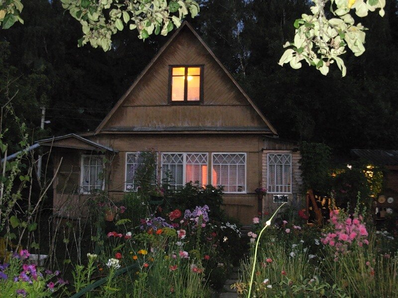 фото из интернета