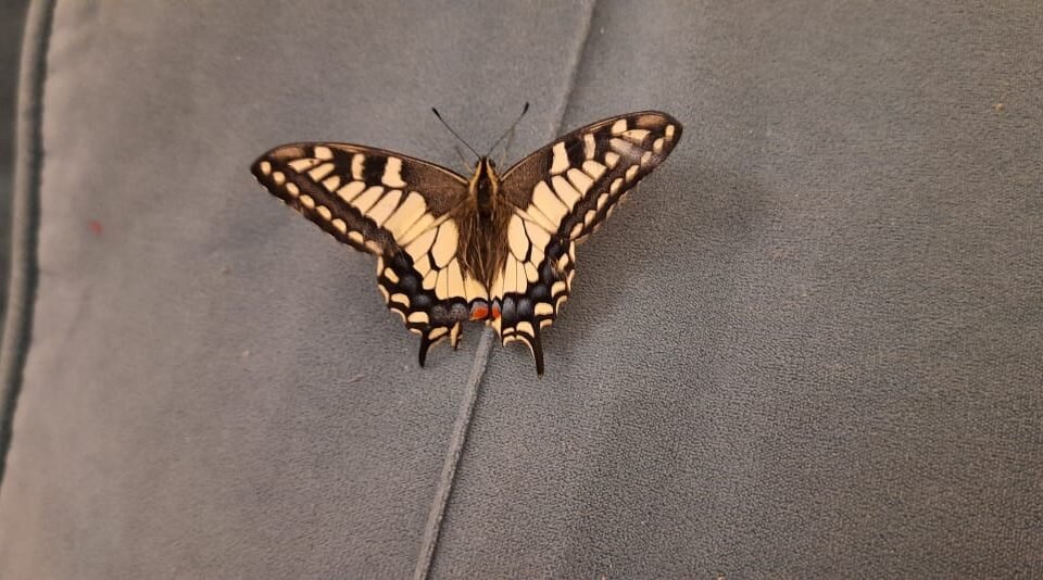 Фото:  Владимир Бочкарев