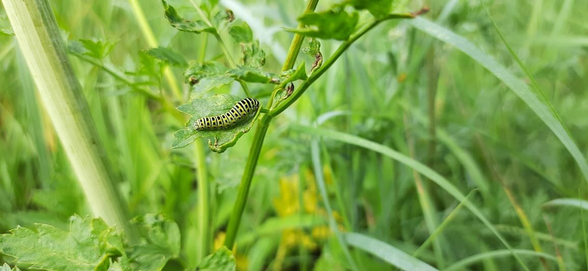 Фото Владимир Бочкарев