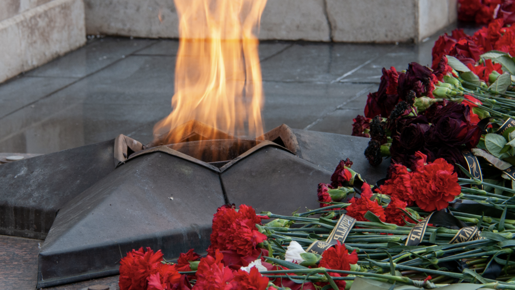    Svetlana Vozmilova/Globallookpress