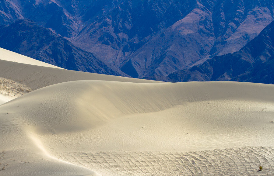 Тибет – загадочная место на нашей планете. Попасть туда не так уж и просто. С Тибетом связано множество легенд: он считается крышей мира, колыбелью цивилизации, в Тибете ищут Шамбалу и просветление. Но это все легенды… 