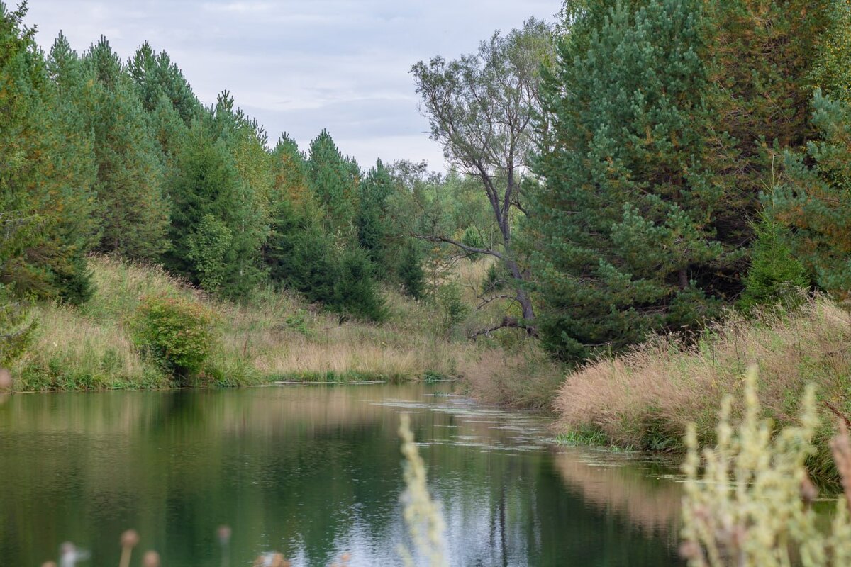 Поскольку там проходит водораздел Волги и Вятки, то можно считать, что Вятский вал делит эту территорию на бассейны рек. Поэтому в деревне Янгранур уже берет начало речка Шуй – приток р. Шукшан – река Немда – Пижма – Вятка, то есть тут же начинается Вятский бассейн. Соответственно, Малый Кундыш впадает в Малую Кокшагу, а потом в Волгу (это Волжский бассейн).
Отдельно мы подробнее расскажем про истоки малых рек на Вятском вале, которые растекаются в разные стороны.
 
На исток Малого Кундыша мы приехали поздно вечером в пятницу, при этом мы довольно долго поплутали в полях и перелесках около этого истока в темноте. Хотя днем место отлично просматривается (рядом с нежилой деревней – граница Советского и Куженерского районов РМЭ) и найти его достаточно легко.
Буквально рядом, в 1,5 км. располагается деревня Янгранур (это уже Советский р-н РМЭ), в окрестностях которой располагается известная священная роща, где проводили мировые марийские моления (про это есть отдельная статья на сайте).
Около самого истока в ельнике есть оборудованное место со столиком около небольшого озерца, которое как раз питают родники на одном из истоков М.Кундыша.