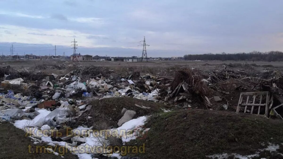     Жители Краснослободска Волгоградской области пожаловались в соцсетях на огромную свалку в окрестностях дубовой рощи.