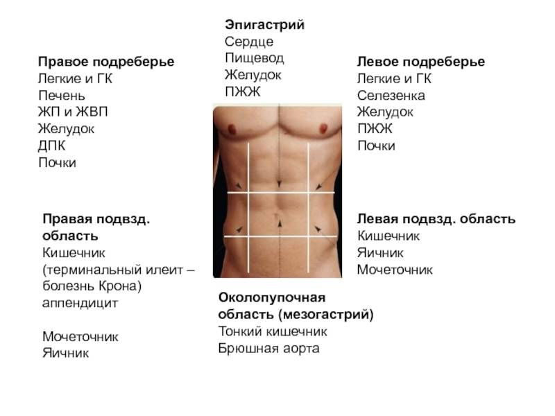 Трехступенчатый алгоритм действий при болях в животе