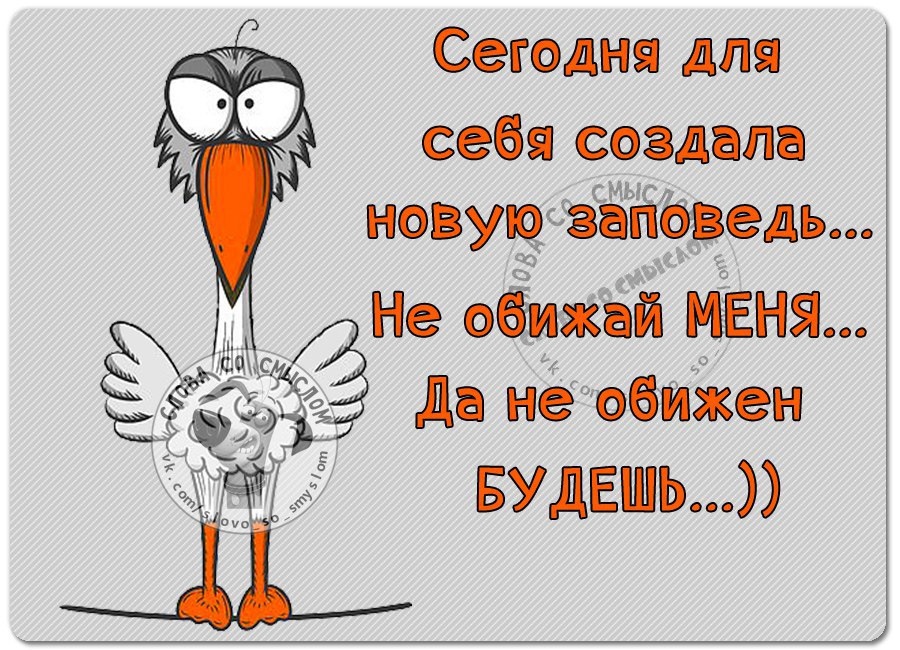 дальше жить книга. больше живем будем дальше жить. больше живем будем дальше жить. мужчины без женщин. больше живем будем дальше жить.