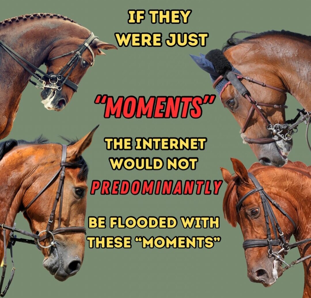 Фото: Dressagetoday